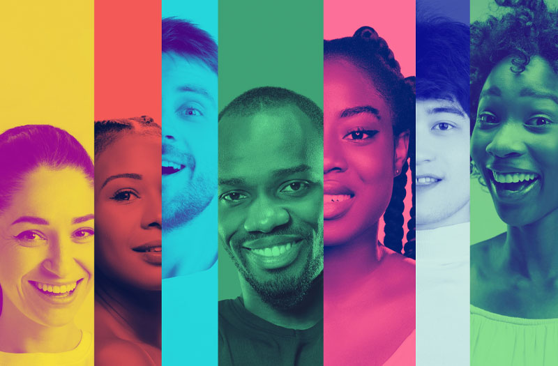 Diversity at Insight