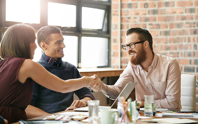 Business professionals working