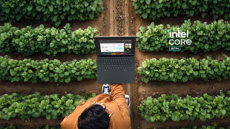 Business professional reviewing regulatory compliance information on computer