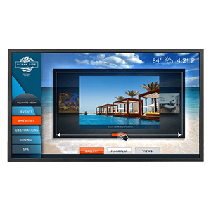 Interactive Displays