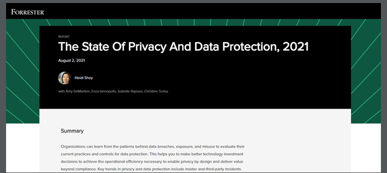Article Forrester: The State Of Privacy And Data Protection, 2021 Image