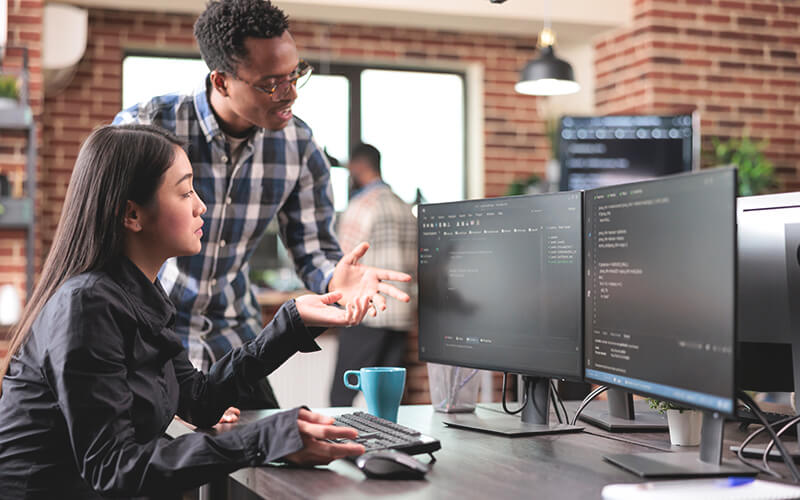 Professionals checking code