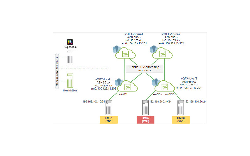 Flexible and Open Fabrics Woman at dual screen