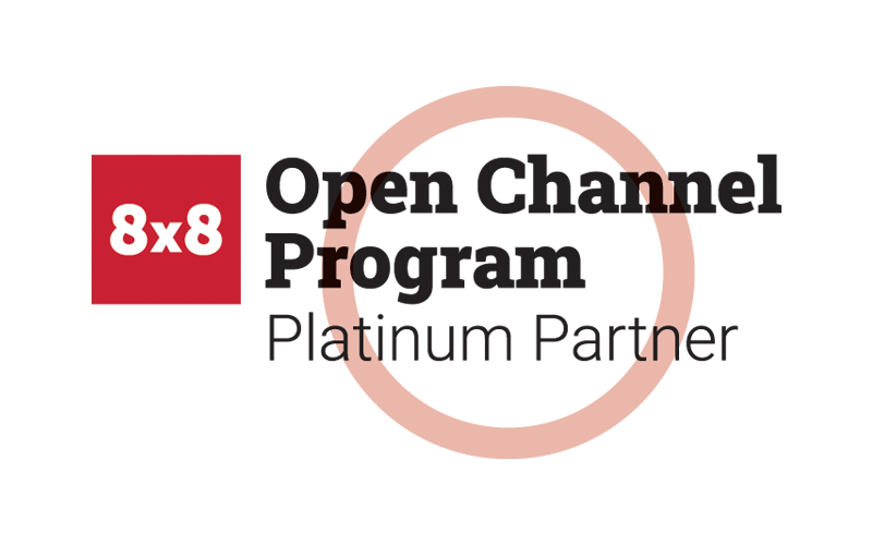 Discover how 8x8 and Insight can help your business public sector partner of the year