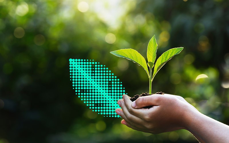 asus-sustainability-partner-image asus-sustainability-partner-image