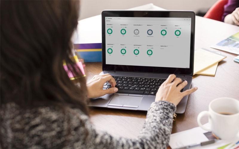 Reduce costs and adapt workload Woman working on laptop device using data management system