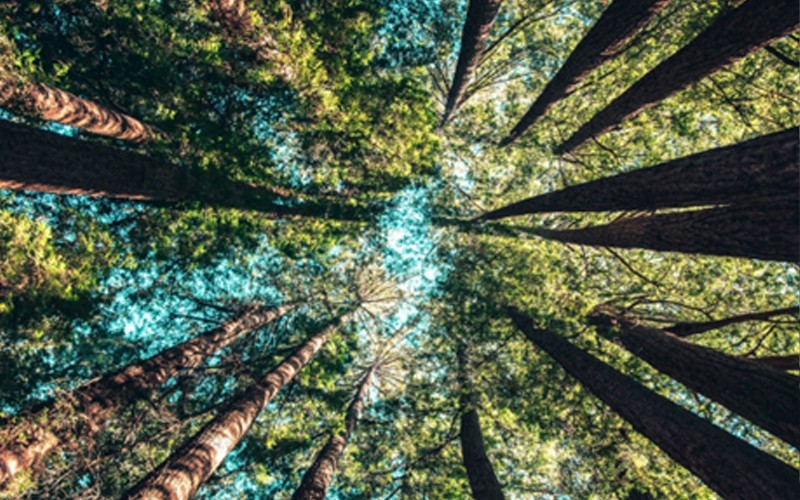 hpi-it-waste-sustainable-products hpi-it-waste-sustainable-products