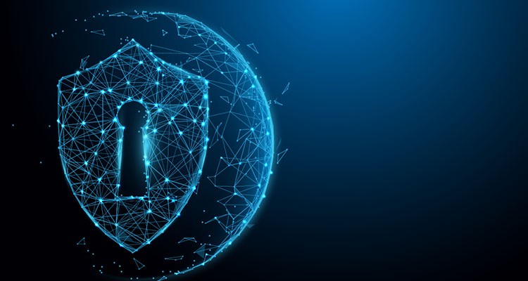Network Microsegmentation