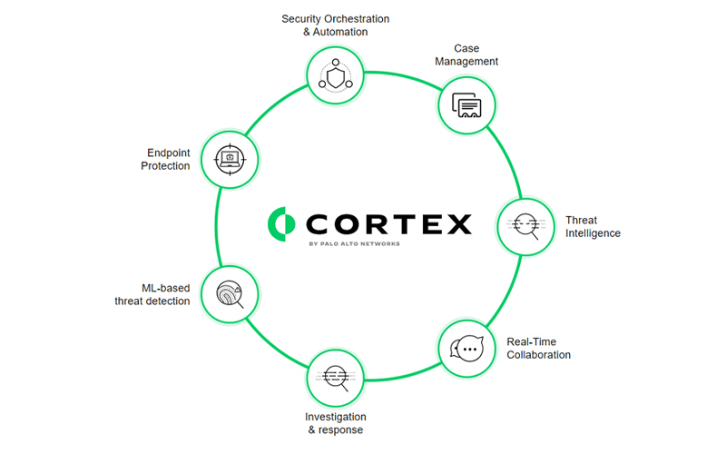 Coretx diagram