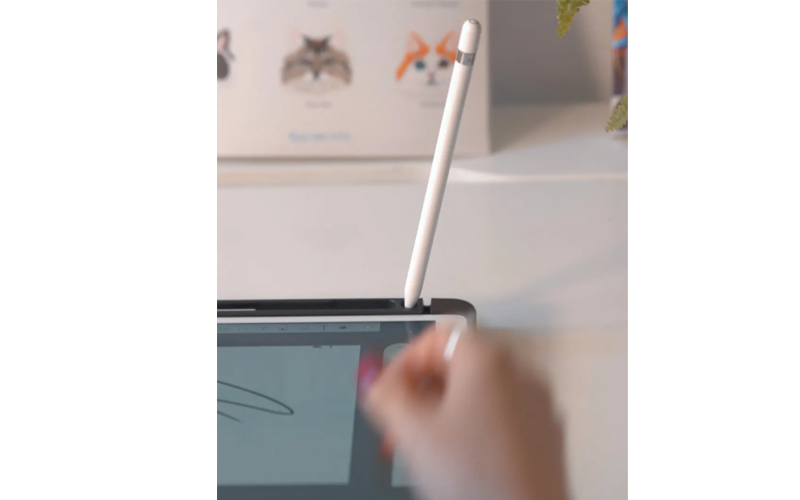 iPad