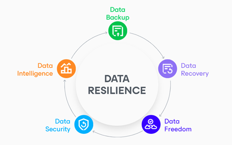 data-reilieance-image-q324 data-reilieance-image-q324